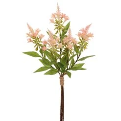 19″ Cestrum AurantiacumBundle X5Pink