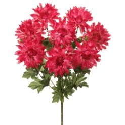 18″ Dahlia Bush X8 Beauty