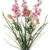 24.5″ Delphinium Bush X3 Pink Cream