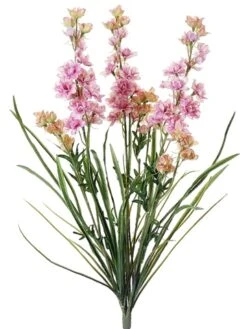 24.5″ Delphinium Bush X3 Pink Cream