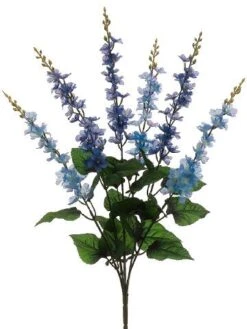 24″ Delphinium Bush X6 Two Tone Blue