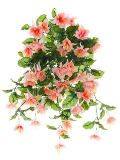 20″ Fuchsia Hanging BusH X 13 Peach Cream