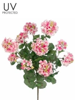 24″ UV Protected Geranium Bush x5 Pink White