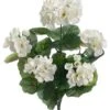 14″ Geranium Bush White