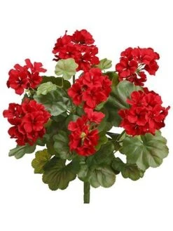 19″ Water-Resistant Geranium Bush X9 Red