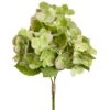 14.5 Hydrangea Bundle X3 Green