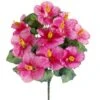 19″ Hibiscus Bush X10 Pink