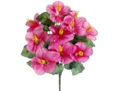 19″ Hibiscus Bush X10 Pink