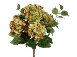 22″ Hydrangea Bush X5 Green Beauty