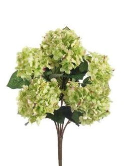 19″ Hydrangea Bush X5 Cream Green