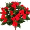 13.7″ New Guinea Impatiens Bush Tomato Red