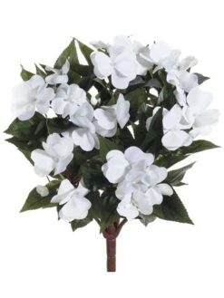 13.7″ New Guinea Impatiens Bush White