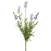 15″ Lavender Bush Purple Lavender