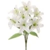 20″ Rubrum Lily Bush X7 White