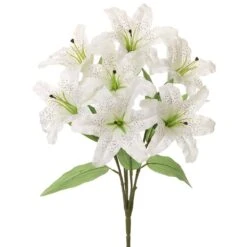 20″ Rubrum Lily Bush X7 White
