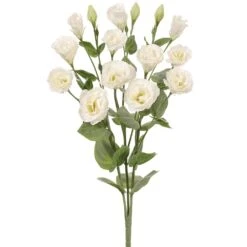 23″ Lisianthus Bush Cream White