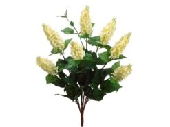 23″ Italian Lilac Bush X7 Cream