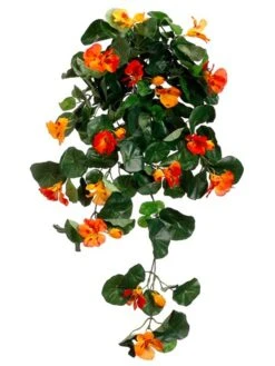30″ Nasturtium Hanging Bush X9 Orange