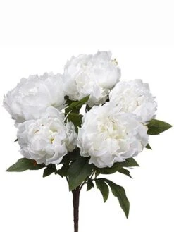18″ Peony Bush X5 White
