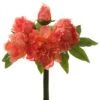 12.5″ Peony Bundle Coral