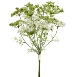 19.5″ Queen Anne’s Lace Bundle Cream Green
