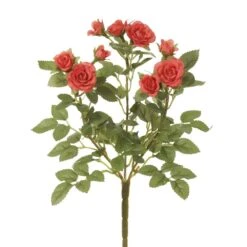 10″ Mini Rose Bush X3 Salmon