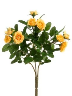 10″ Mini Rose Bush X3 Yellow