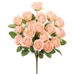 18.5″ Rose Bush X18 Peach