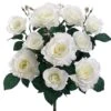 18″ Rose BusH X 10 White