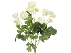 13″ Mini Ranunculus Bush X5 Cream