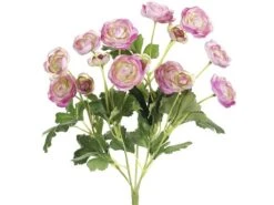 13″ Mini Ranunculus Bush X5 Pink