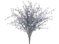 19″ Mini Star Flower Bush X10 White Lavender