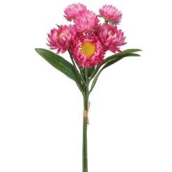 12″ Strawflower Bundle X3 Pink
