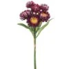 12″ Strawflower Bundle X3 Purple