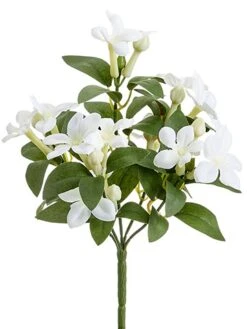 10″ Stephanotis BusH X 5 White