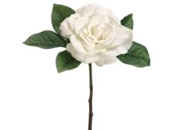 11″ Gardenia Pick  Cream