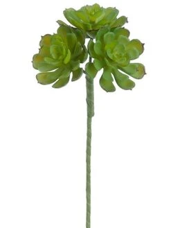 9″ Mini Hens And Chicks Bouquet Pick X3 Green