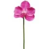 10″ Vanda Orchid Pick Orchid