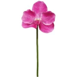 10″ Vanda Orchid Pick Orchid
