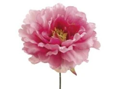 9″ Peony Pick  Pink