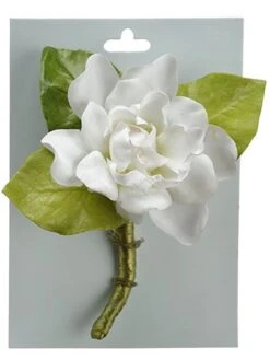 5″ Gardenia Corsage On Card  White