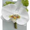 4″ Phanopnosis Orchid Corsage White