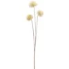 25″ Allium Spray White
