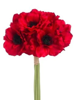 12″ Anemone Bundle X6 Red