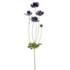 29″ Wild Anemone Spray Eggplant