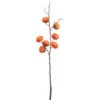 36″ Persimmon Spray Dark Orange