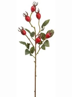 28″ Rosehip Spray Burgundy