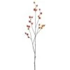 40″ Rosehip Spray Orange