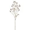 44″ Eryngium Spray Light Bworn