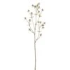 24″ Eryngium Spray Beige